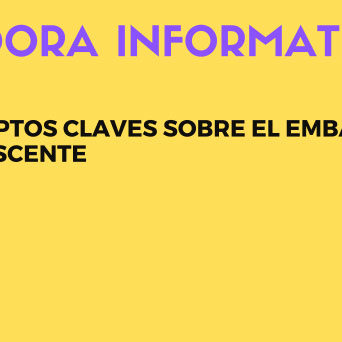 conceptos claves sobre el embarazo adolescente